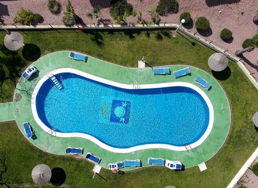 Bestaande bouw - Appartement -
Campoamor R-5