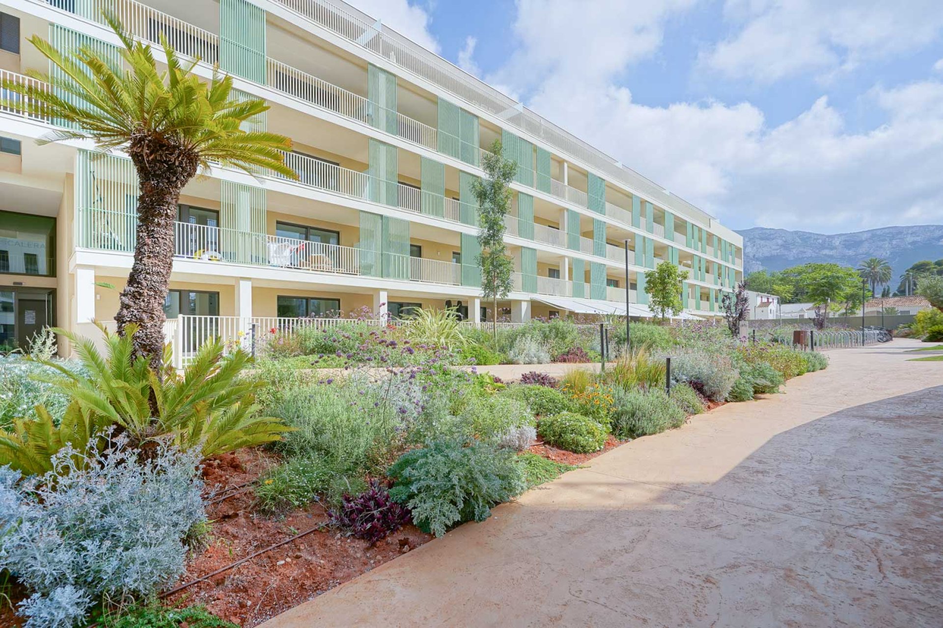 Bestaande bouw - Appartement -
Denia - Port