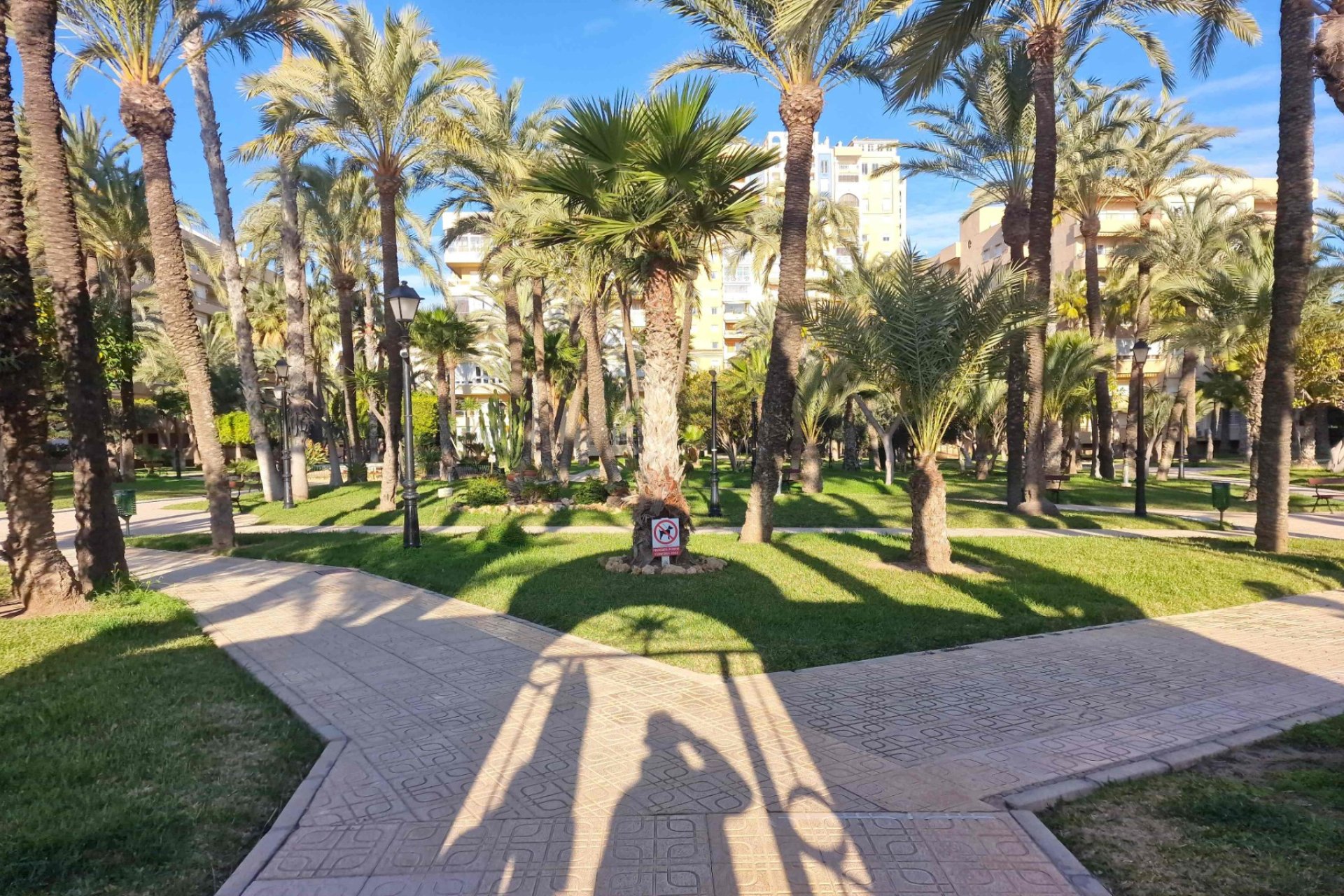 Bestaande bouw - Appartement -
Torrevieja - Playa Los Locos