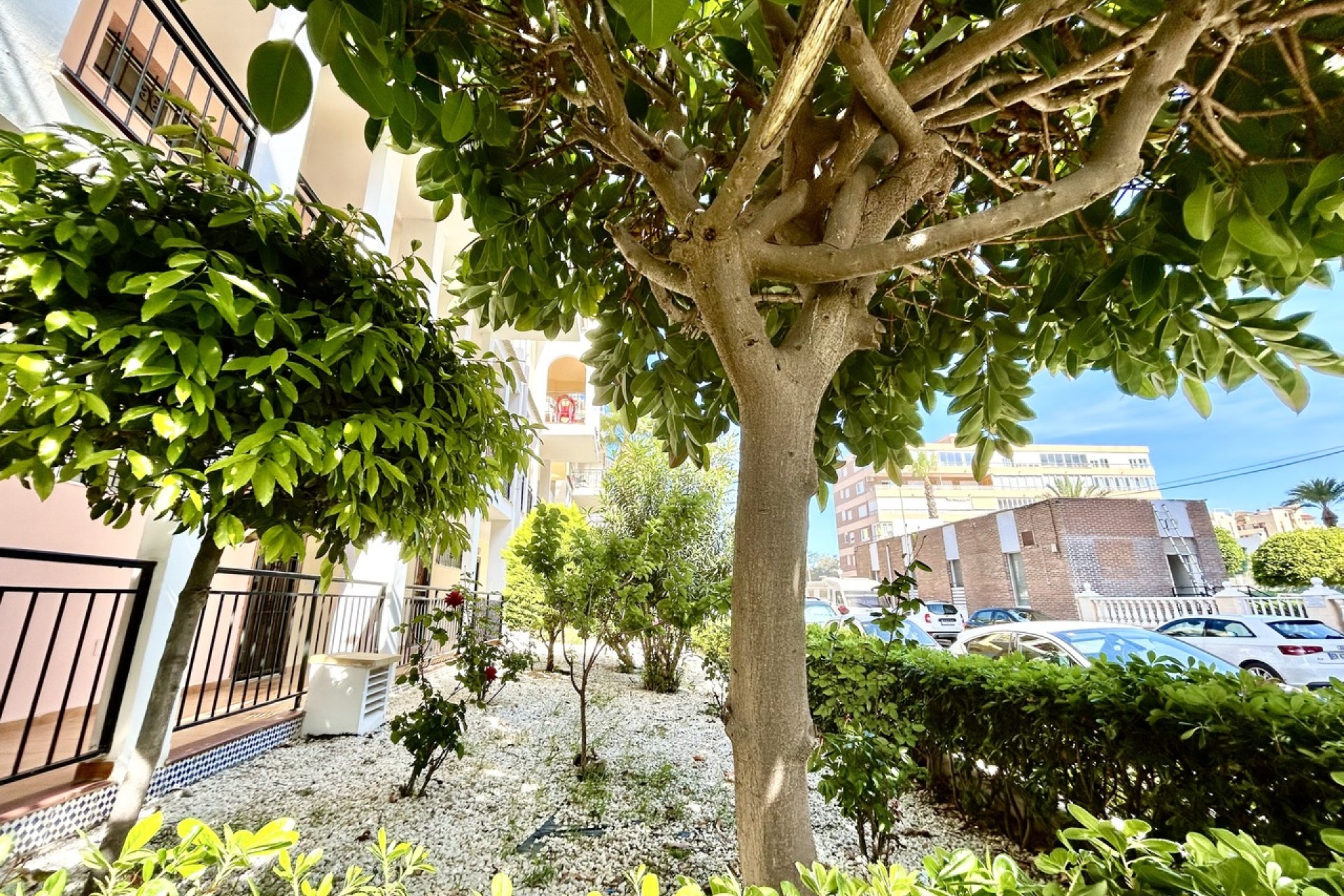 Bestaande bouw - Appartement -
Torrevieja