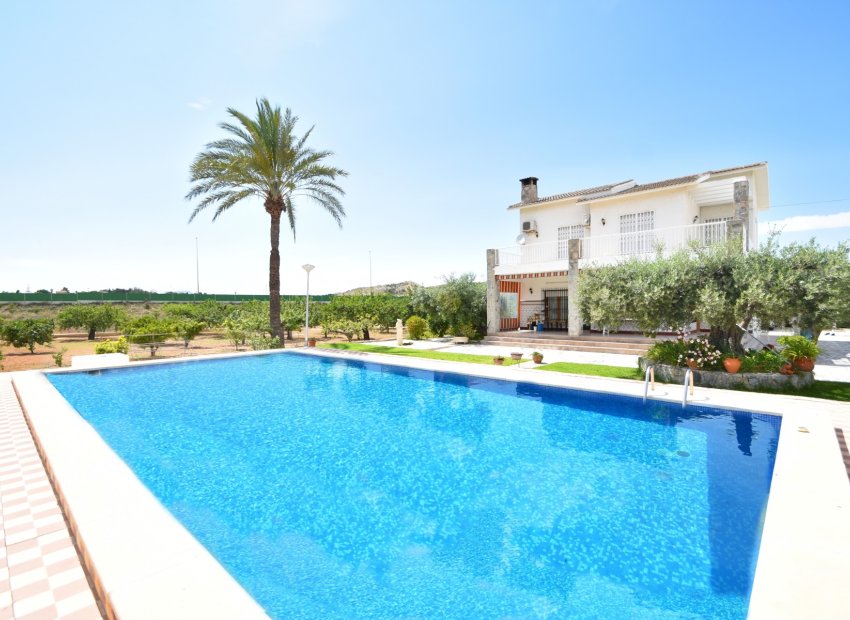 Bestaande bouw - Country House -
Elche - Sierra