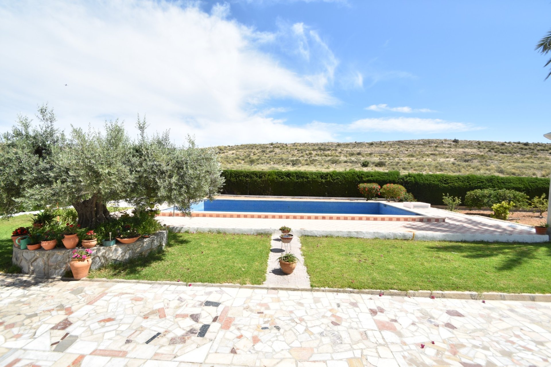 Bestaande bouw - Country House -
Elche - Sierra