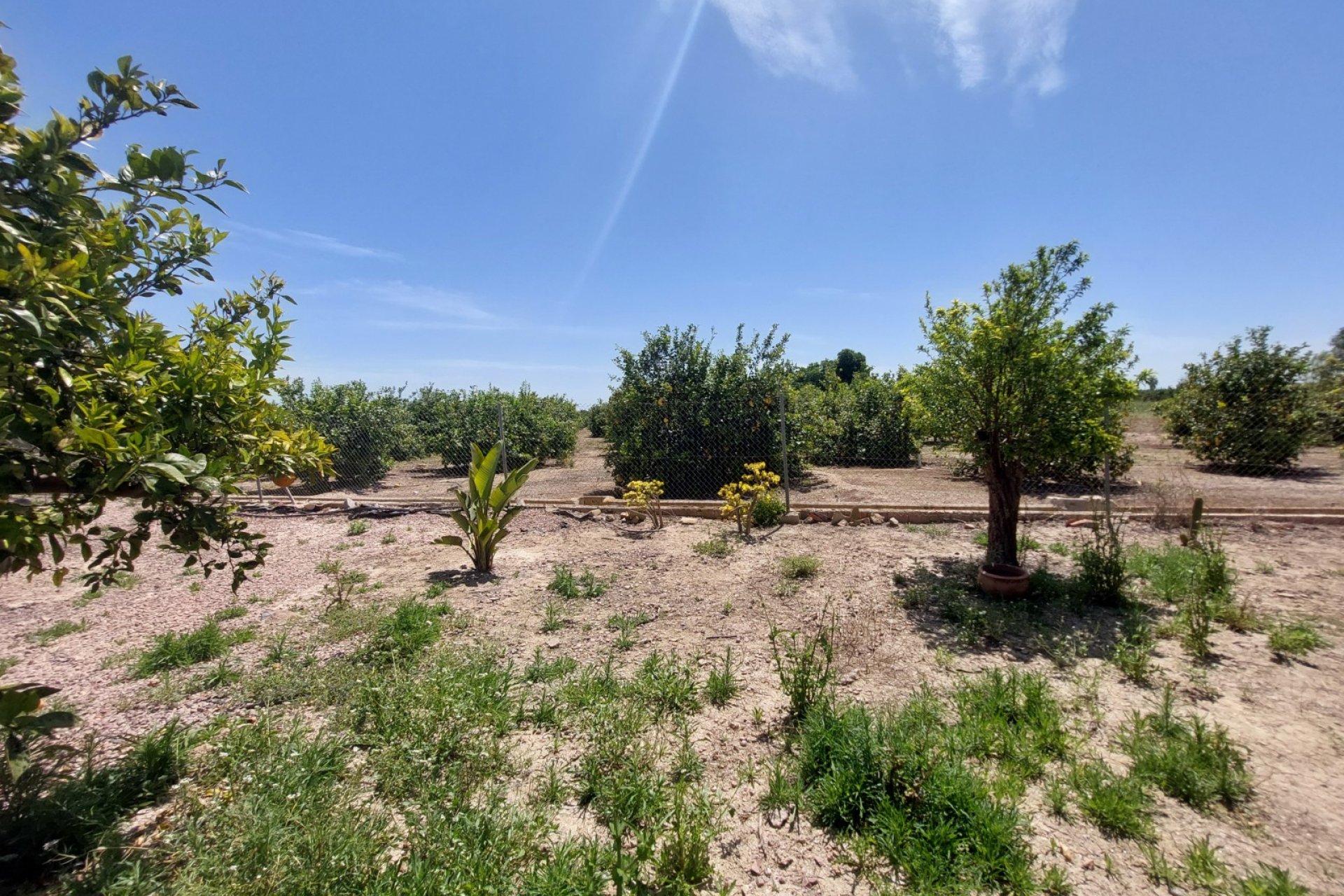 Bestaande bouw - Country Property/Finca -
San Miguel de Salinas