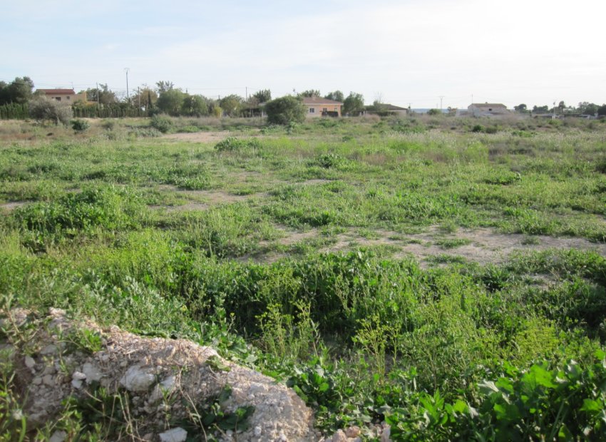 Bestaande bouw - Estate -
Elche - Valverde