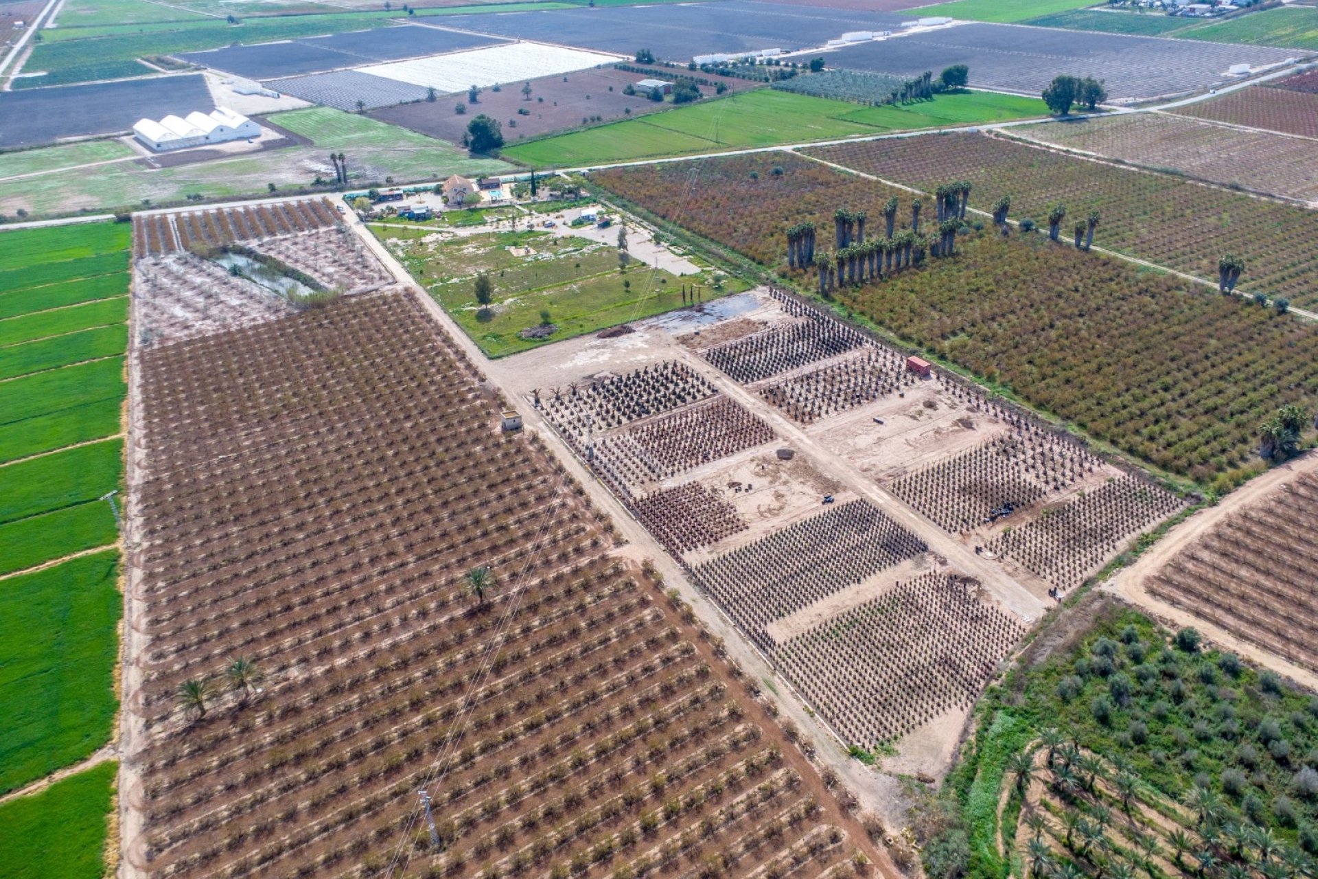 Bestaande bouw - Finca -
Crevillente