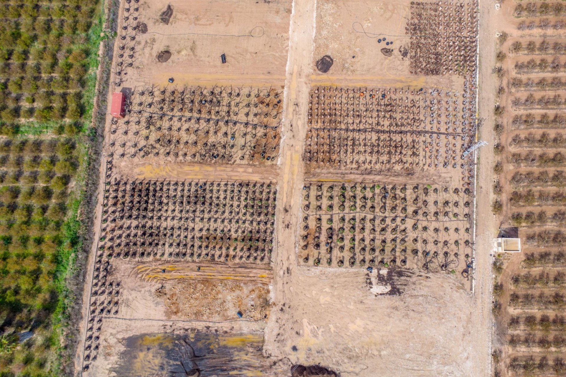 Bestaande bouw - Finca -
Crevillente