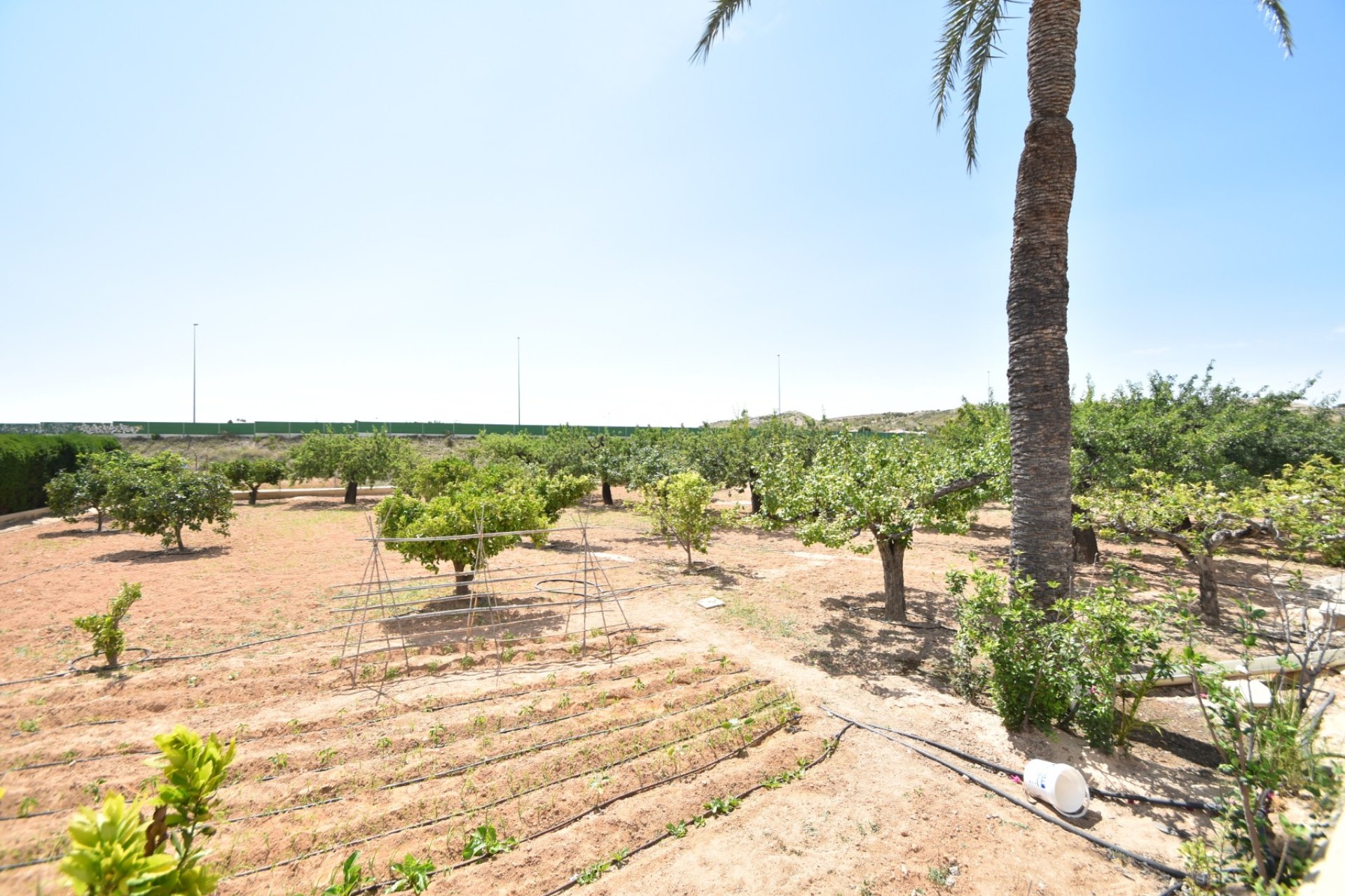 Bestaande bouw - Finca -
Elche - Sierra