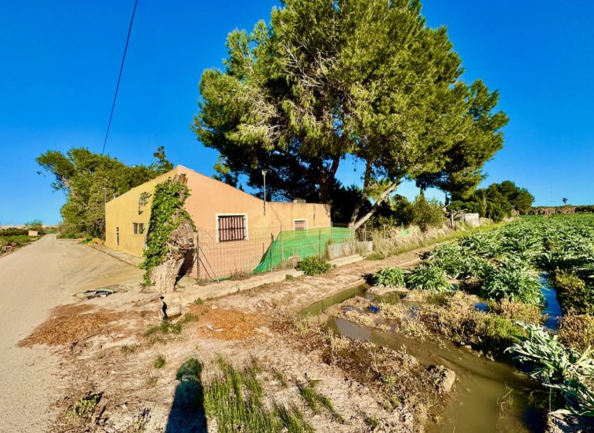 Bestaande bouw - Finca -
Guardamar del Segura
