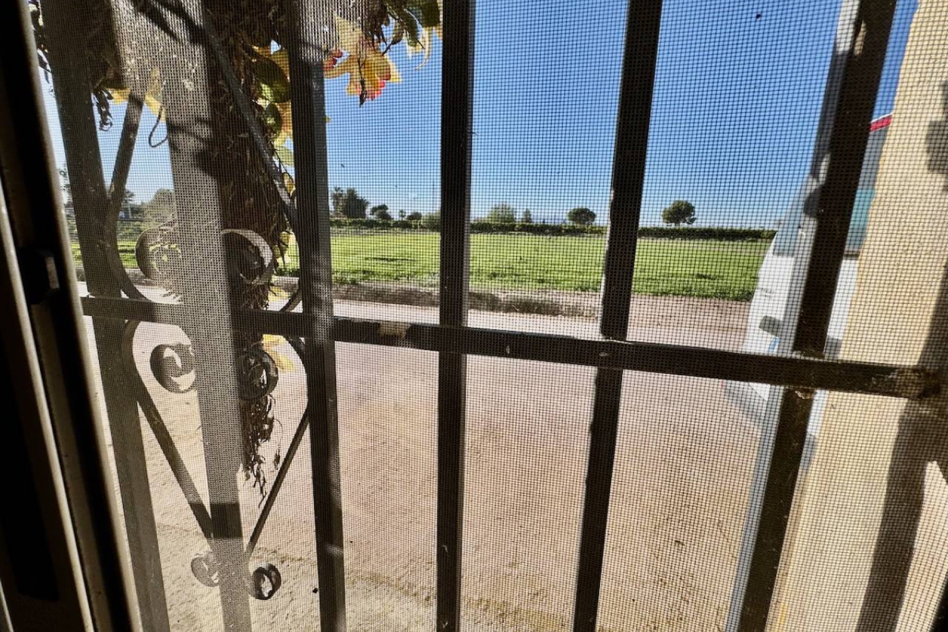 Bestaande bouw - Finca -
Guardamar del Segura