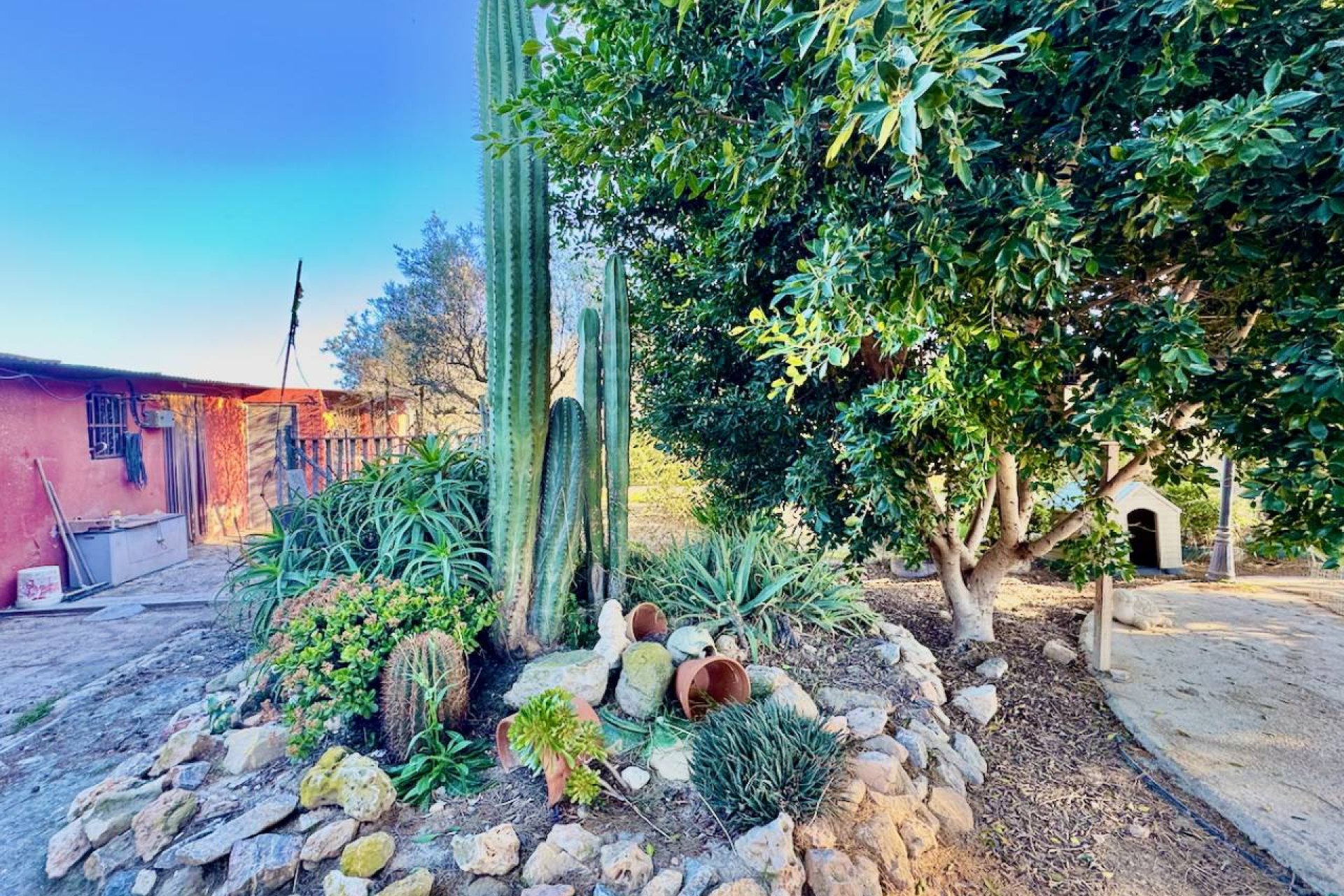 Bestaande bouw - Finca -
Guardamar del Segura