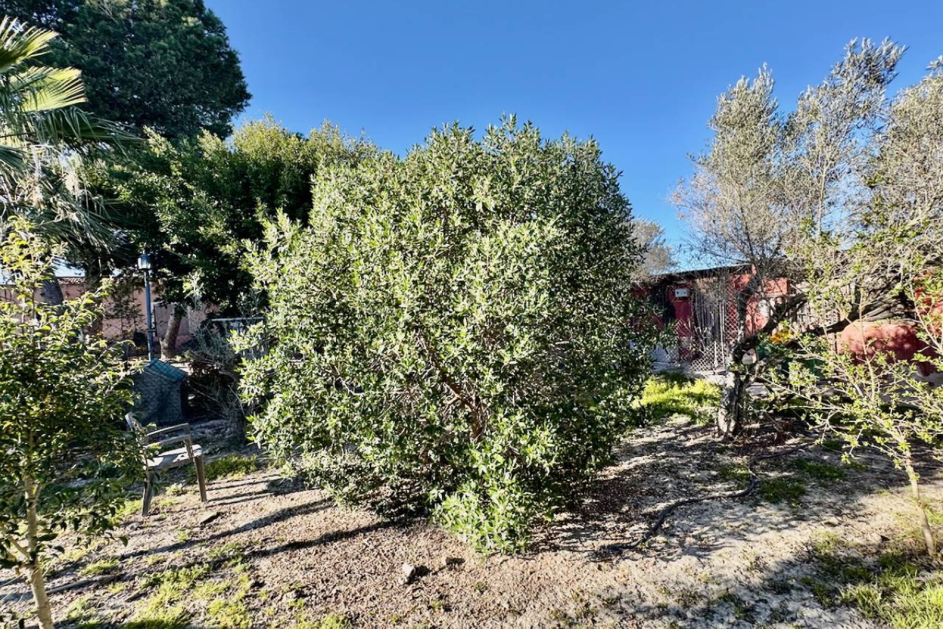 Bestaande bouw - Finca -
Guardamar del Segura