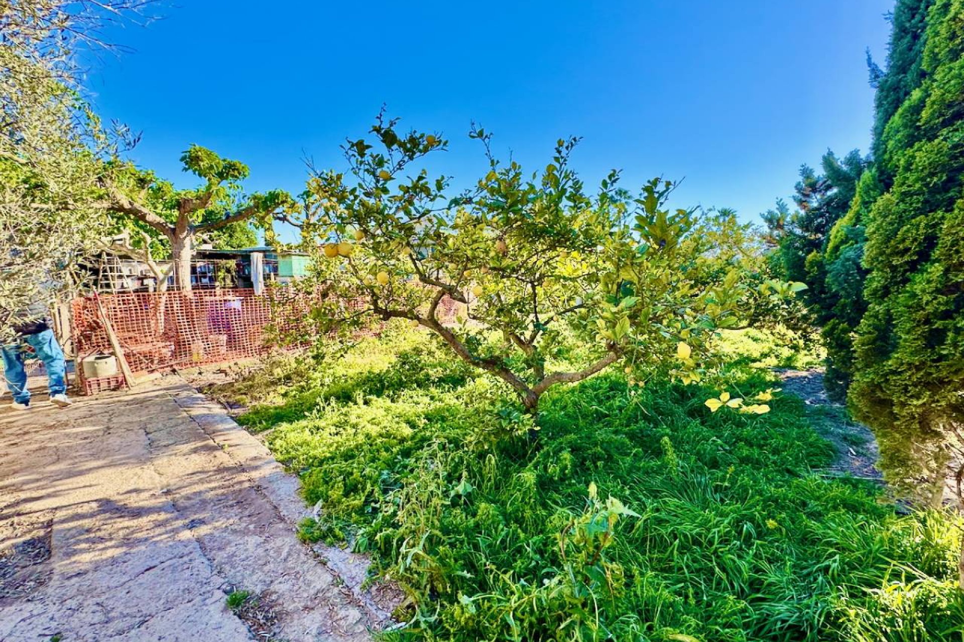 Bestaande bouw - Finca -
Guardamar del Segura