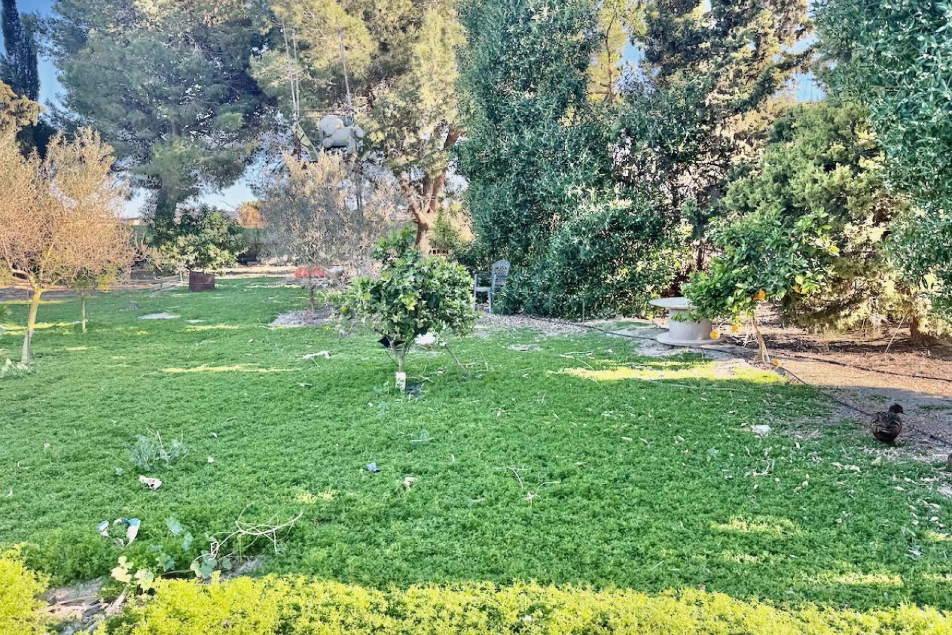 Bestaande bouw - Finca -
Guardamar del Segura