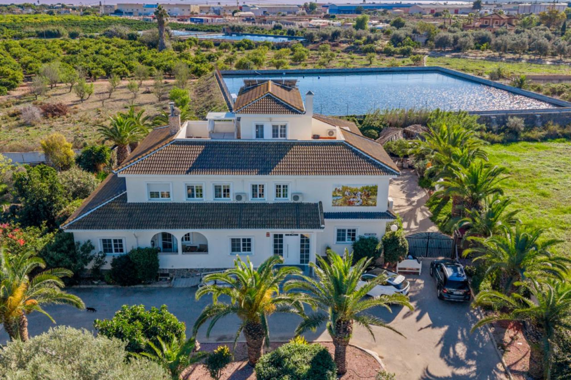 Bestaande bouw - Finca -
Los Montesinos