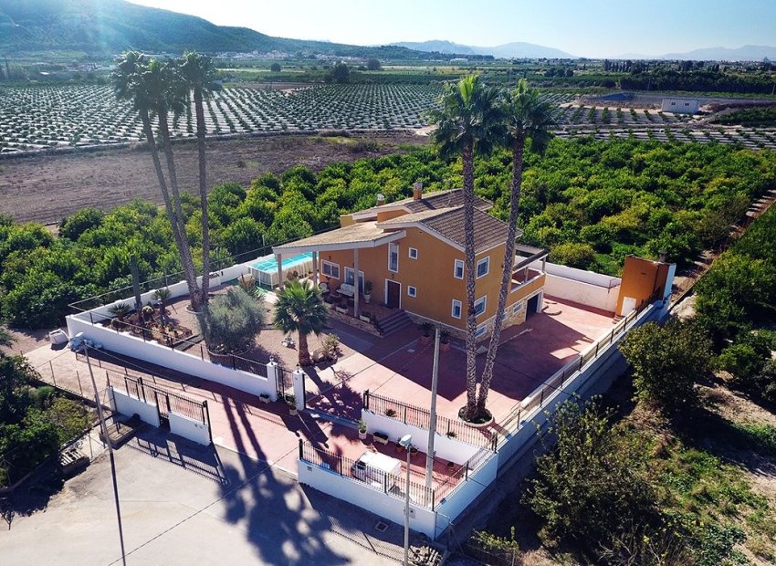 Bestaande bouw - Finca -
Orihuela