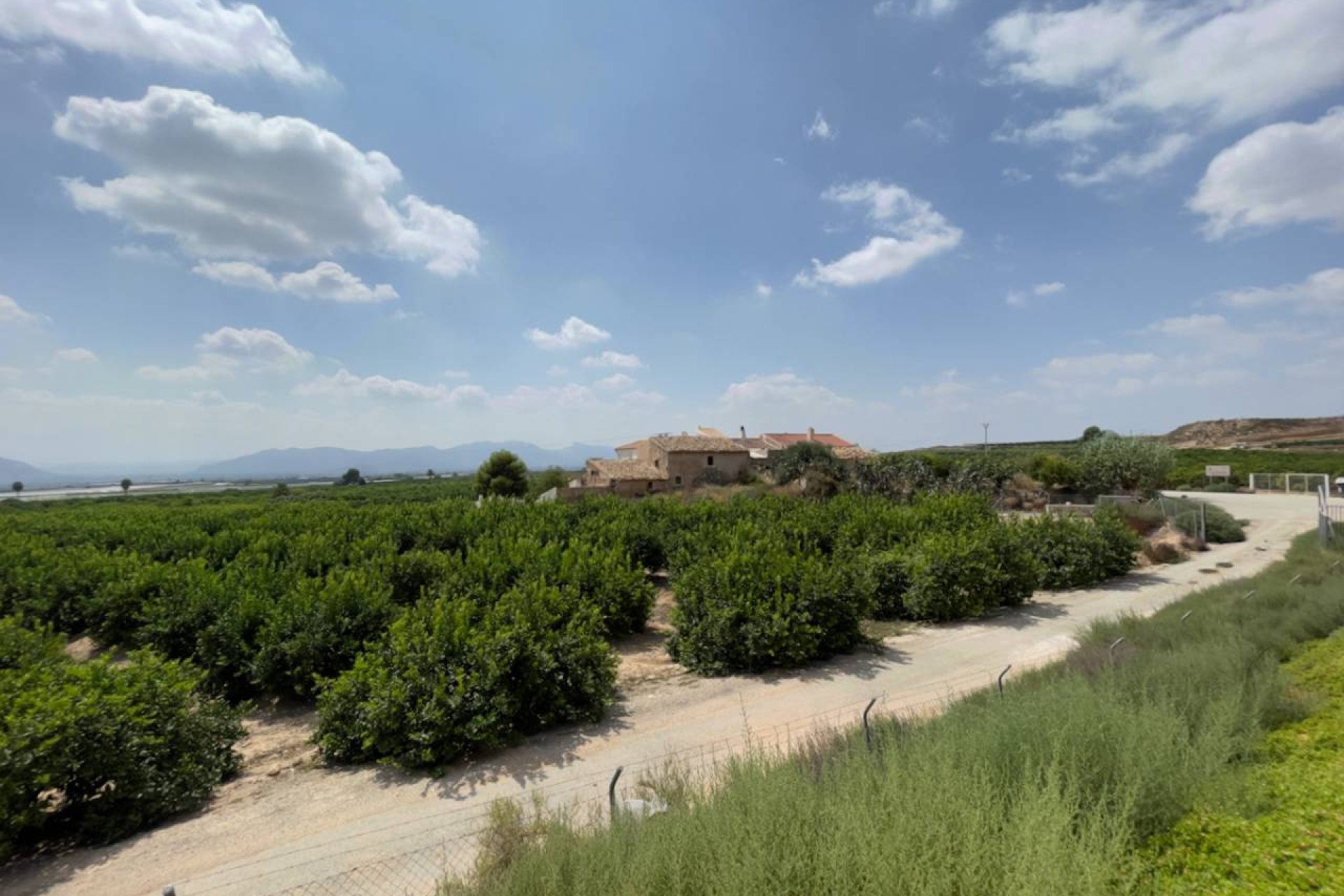 Bestaande bouw - Finca -
Orihuela