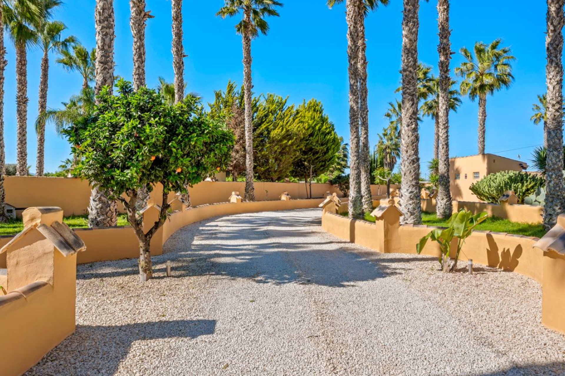 Bestaande bouw - Finca -
Rafal