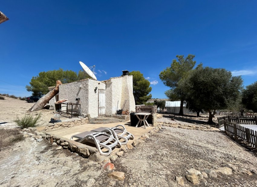 Bestaande bouw - Finca -
Torremendo