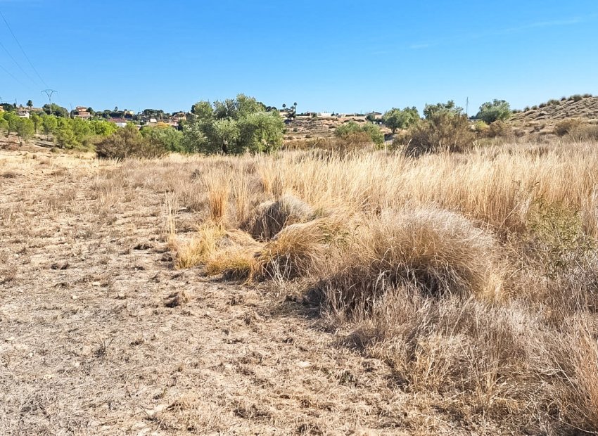 Bestaande bouw - Perceel -
Elche - La Galia