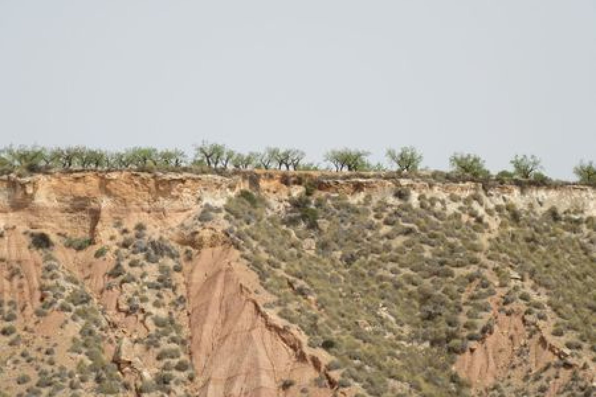 Bestaande bouw - Perceel -
Murcia