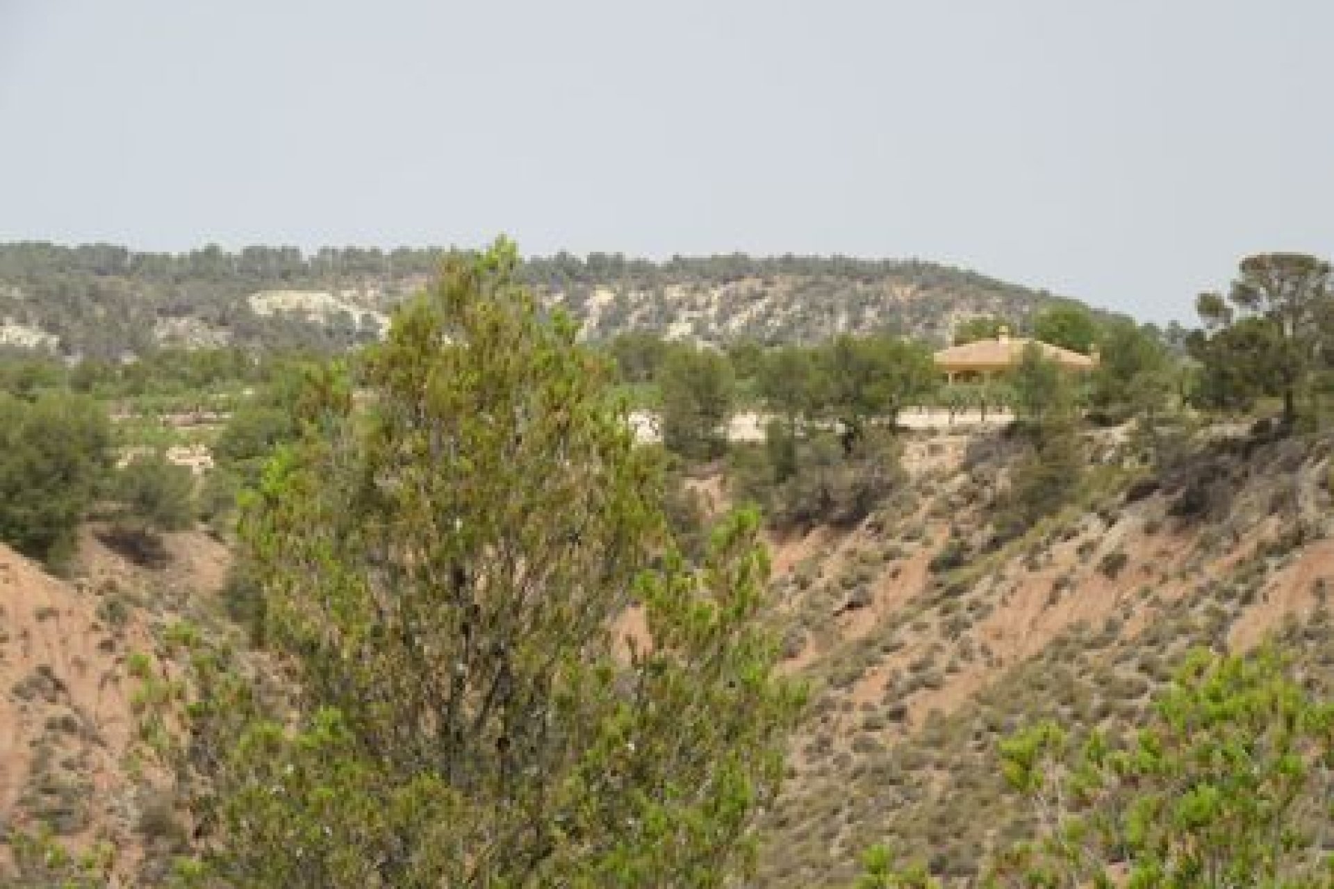 Bestaande bouw - Perceel -
Murcia