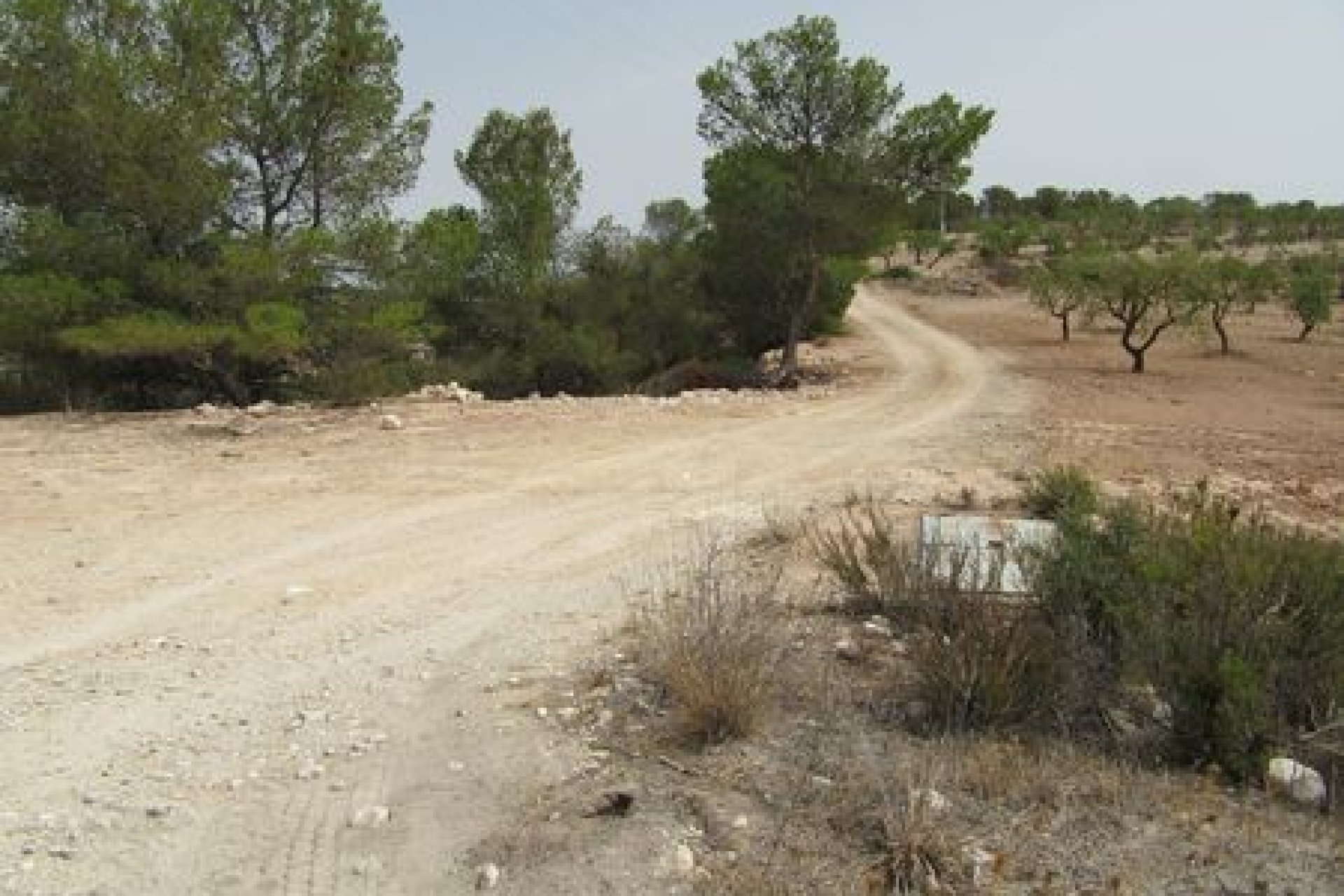 Bestaande bouw - Perceel -
Murcia