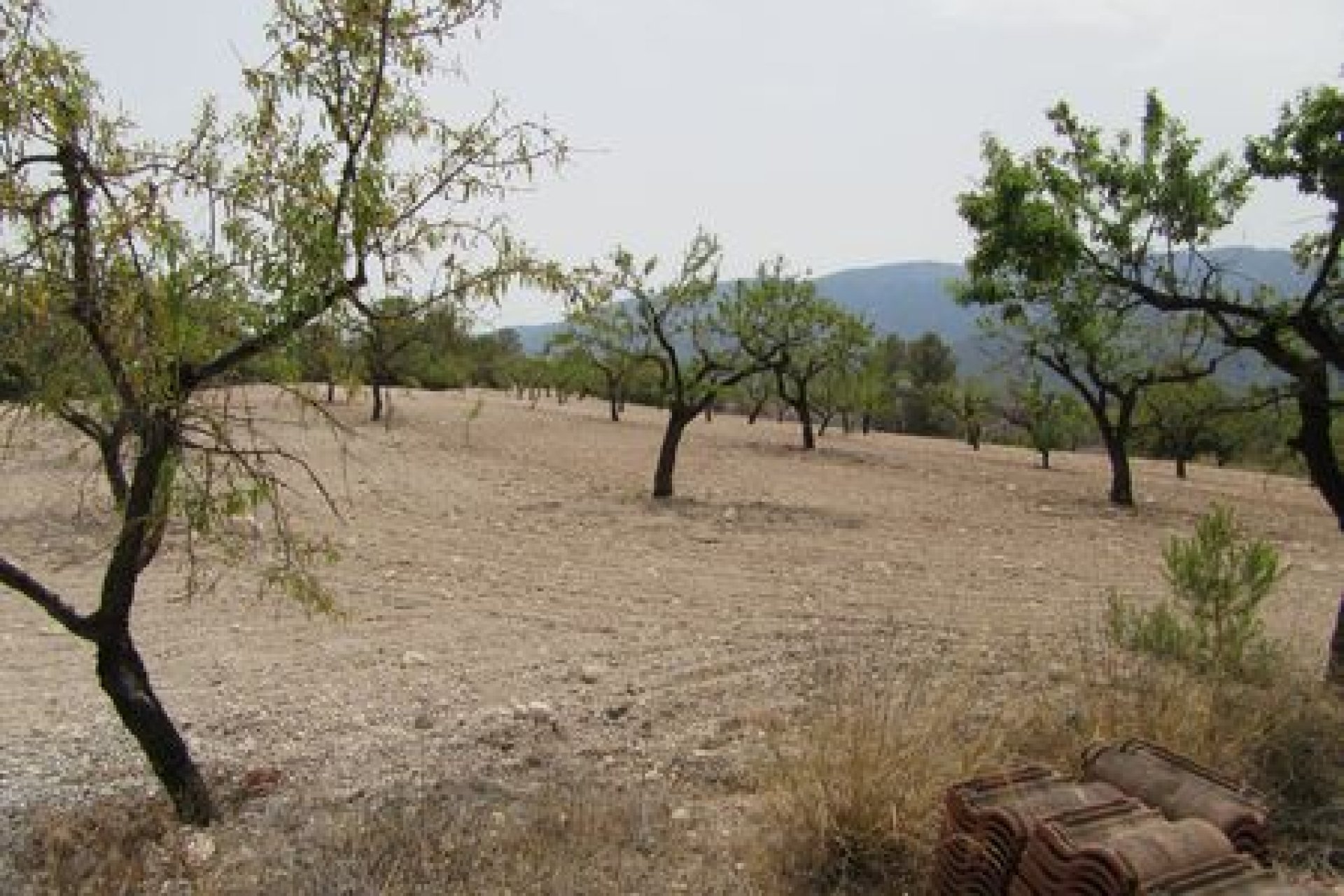 Bestaande bouw - Perceel -
Murcia