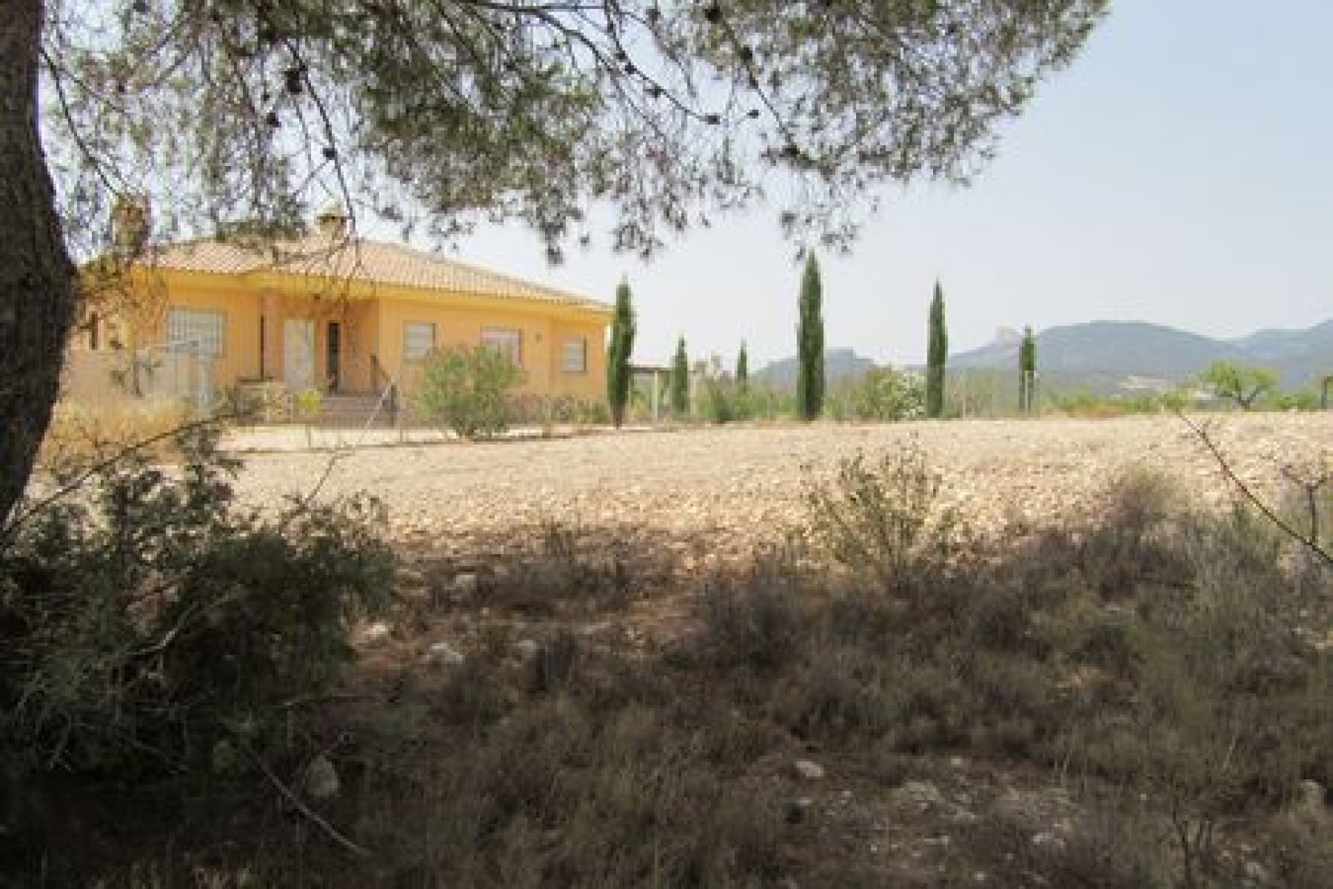 Bestaande bouw - Perceel -
Murcia