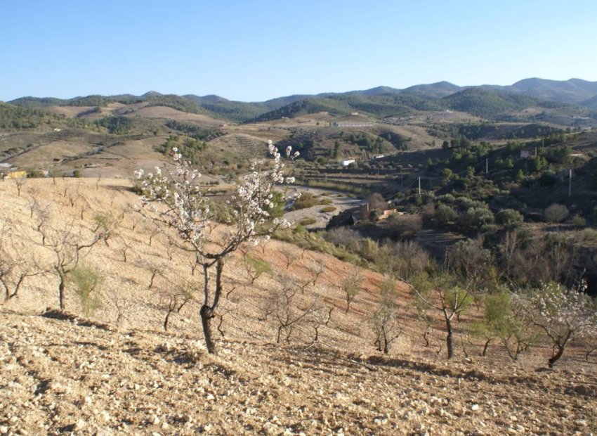 Bestaande bouw - Perceel -
Murcia