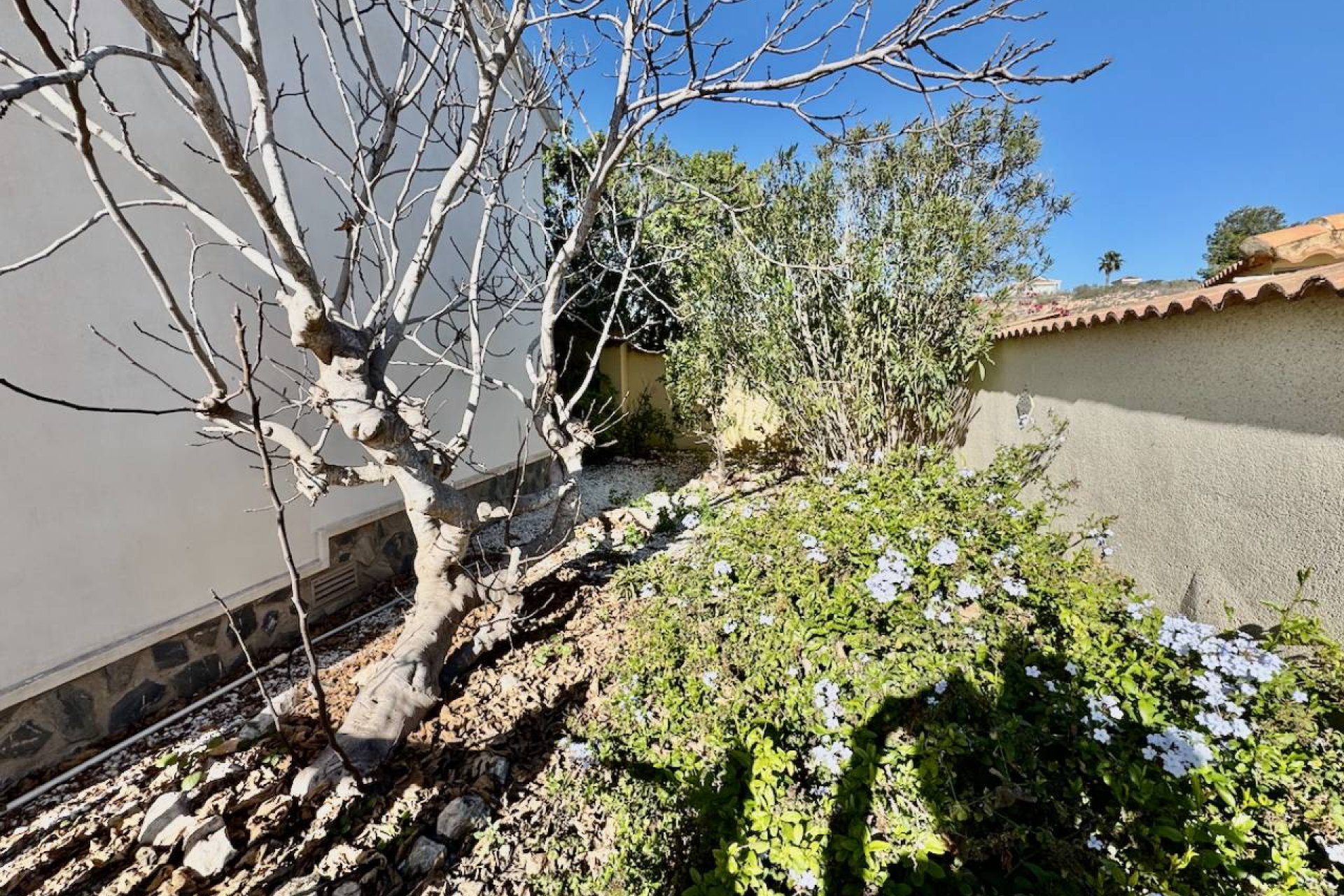 Bestaande bouw - Villa -
Ciudad Quesada - Lo Pepin