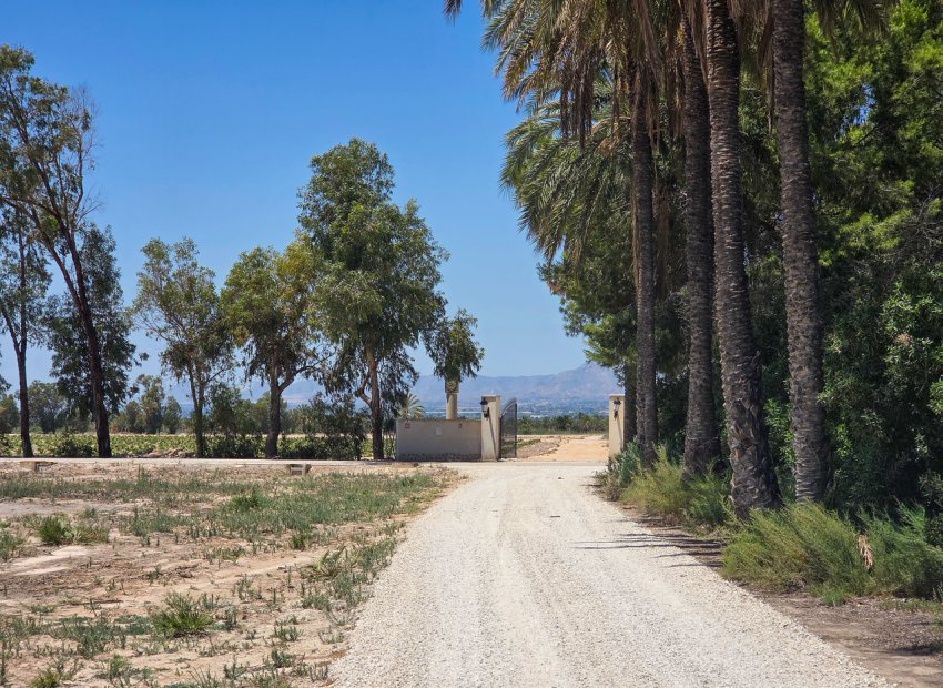 Bestaande bouw - Villa -
Elche