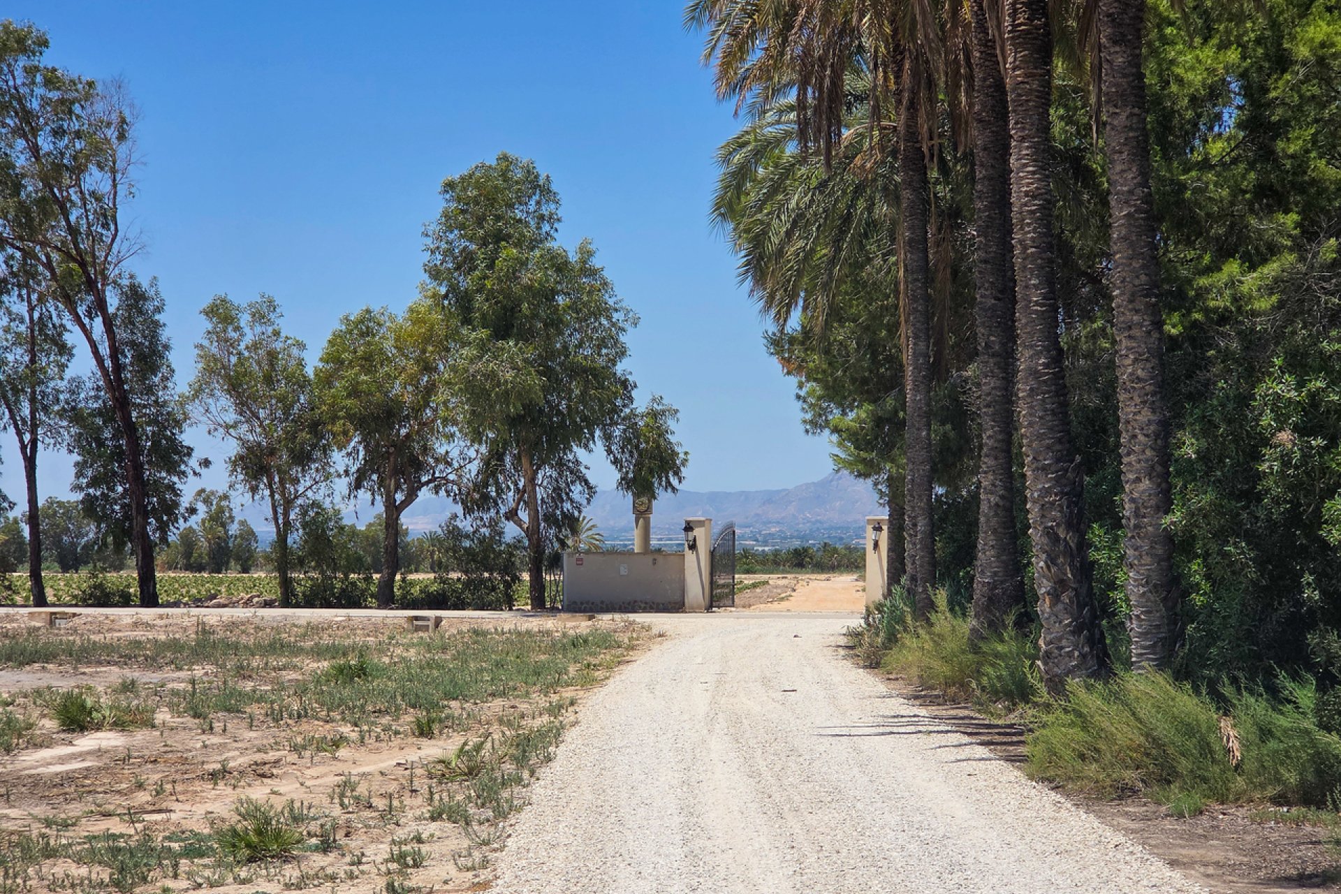 Bestaande bouw - Villa -
Elche