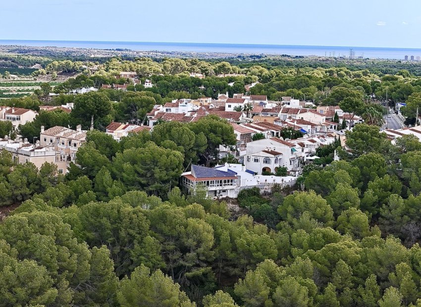 Bestaande bouw - Villa -
Pinar de Campoverde