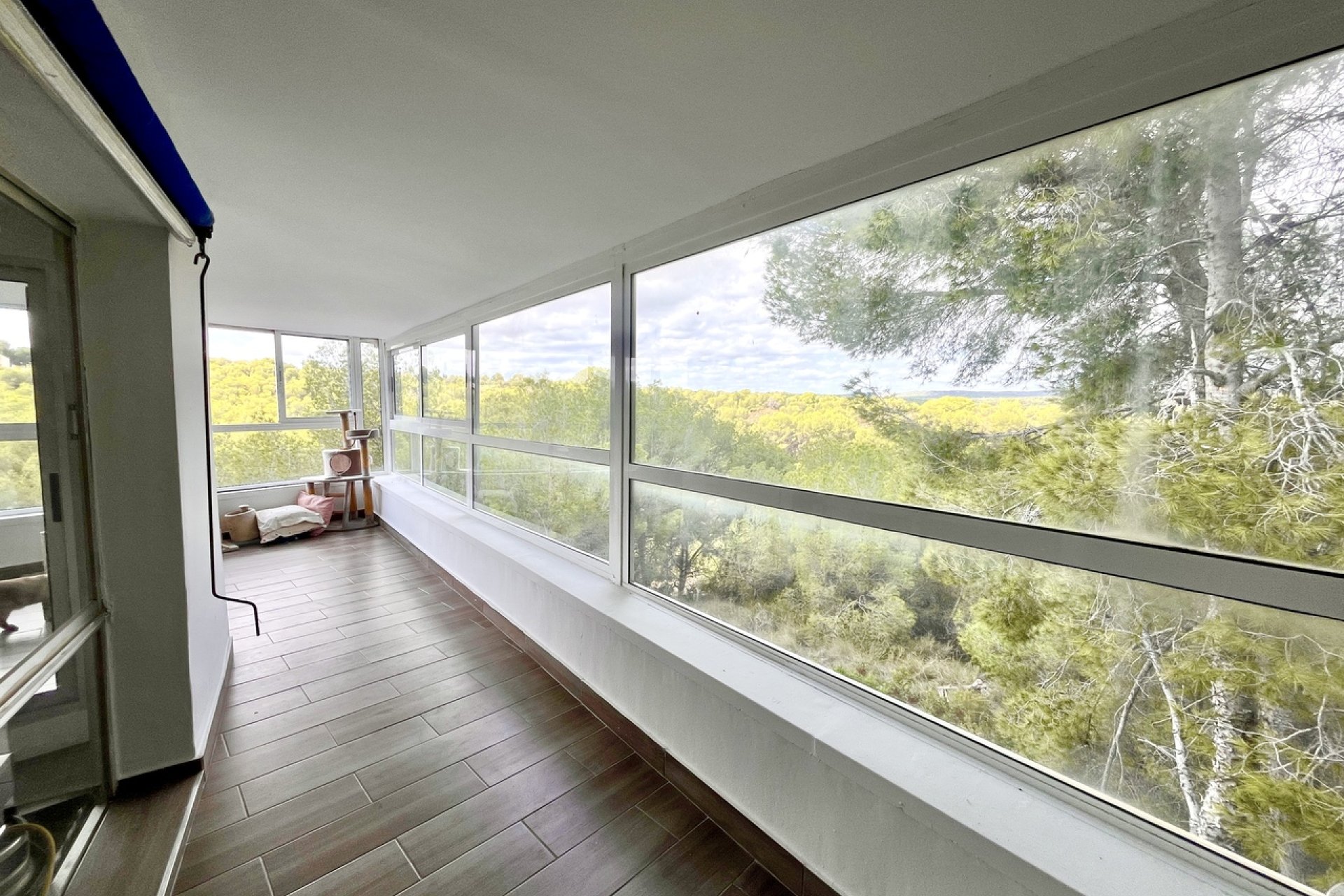 Bestaande bouw - Villa -
Pinar de Campoverde