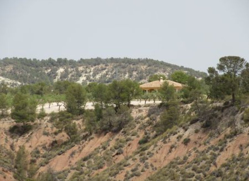 Bouwgrond 55.000 m² Murcia met uitzicht Espuña Nationaal Park