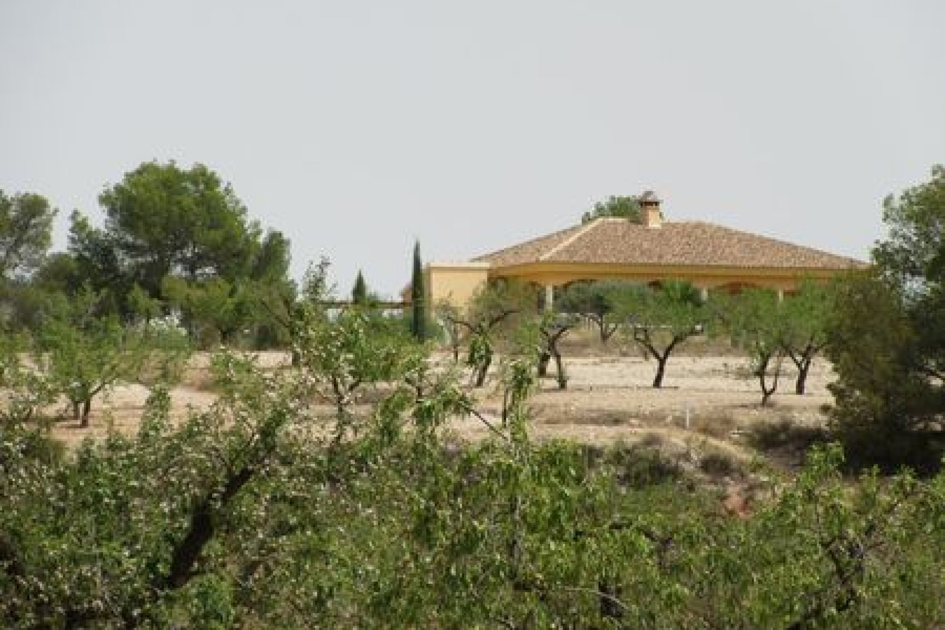 Bouwgrond 55.000 m² Murcia met uitzicht Espuña Nationaal Park