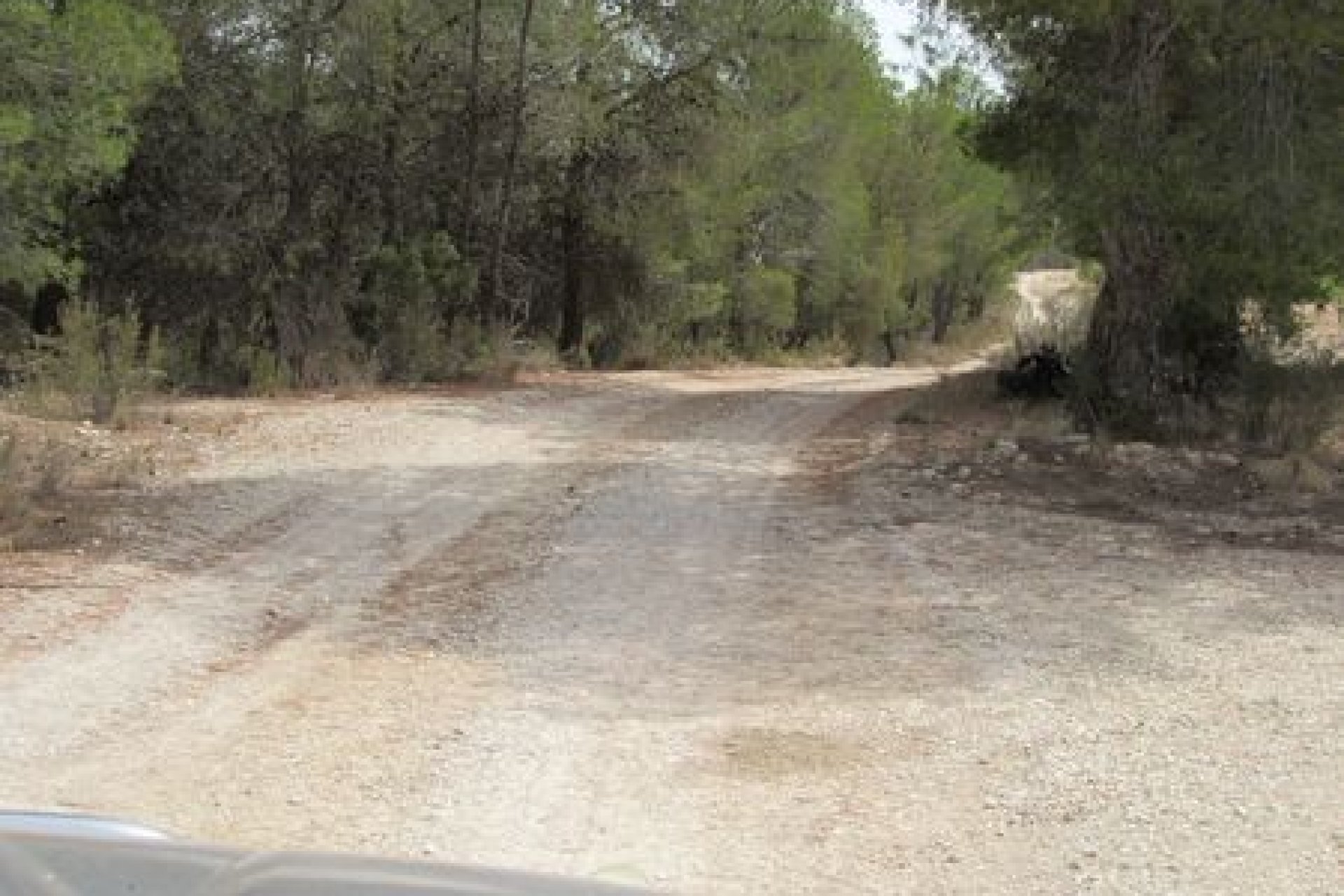 Bouwgrond 55.000 m² Murcia met uitzicht Espuña Nationaal Park