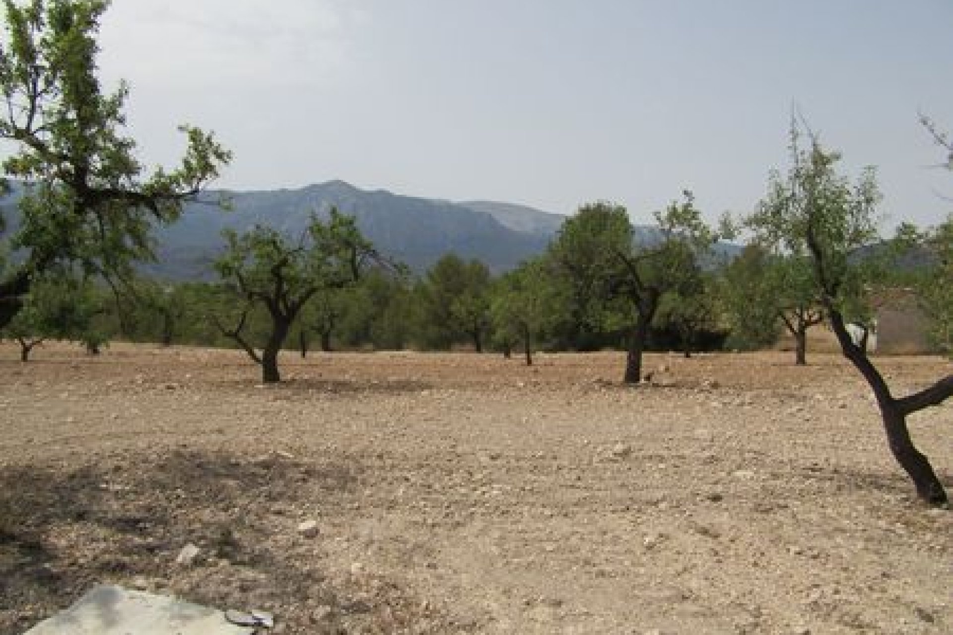 Bouwgrond 55.000 m² Murcia met uitzicht Espuña Nationaal Park