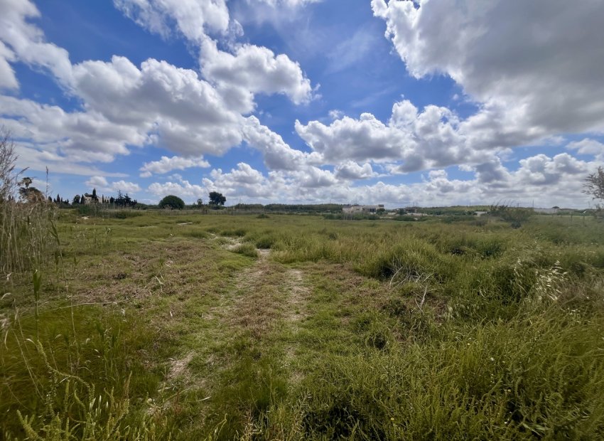 Bouwperceel van 10.151 m² met bergzicht nabij Catral en kust, Costa Blanca