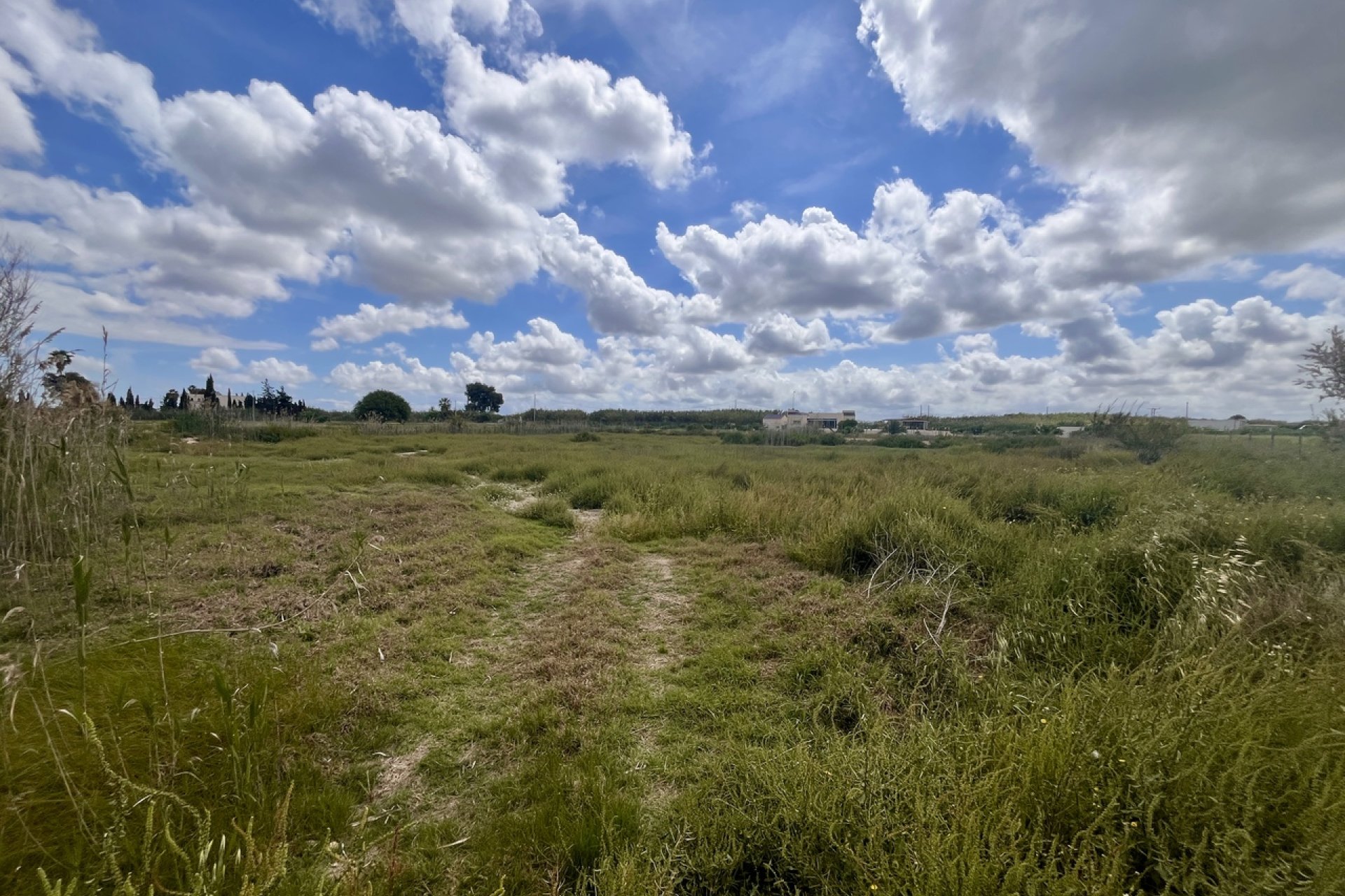 Bouwperceel van 10.151 m² met bergzicht nabij Catral en kust, Costa Blanca