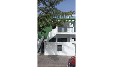 Bungalow - Jardín - Obra nueva - Mil Palmeras -
                Mil Palmeras