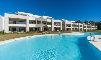 Bungalow - Solarium - New Build - Casares -
                Casares