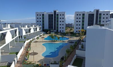 Bungalow - Solarium - Obra nueva - Mil Palmeras -
                Mil Palmeras