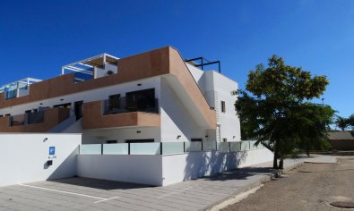 Bungalow - Solarium - Obra nueva - Pilar de la Horadada -
                Pilar de la Horadada
