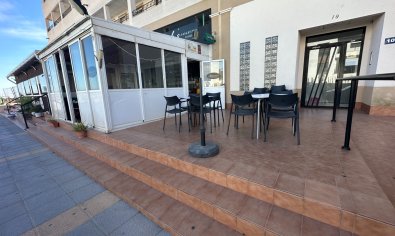 Business for sale - Bestaande bouw - Orihuela -
                Entre Naranjos Vistabella