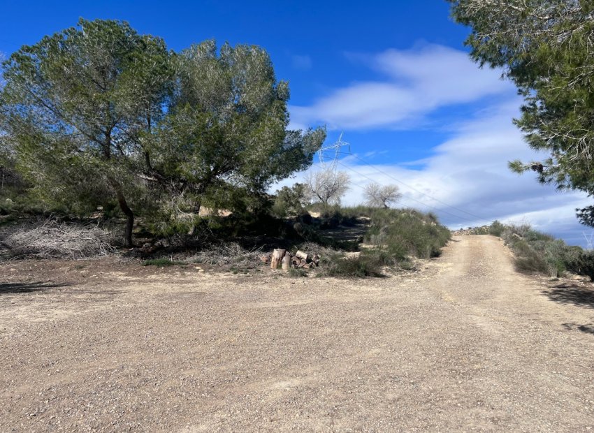 Charmante finca met privézwembad en 6.000 m² grond in Torremendo, Alicante