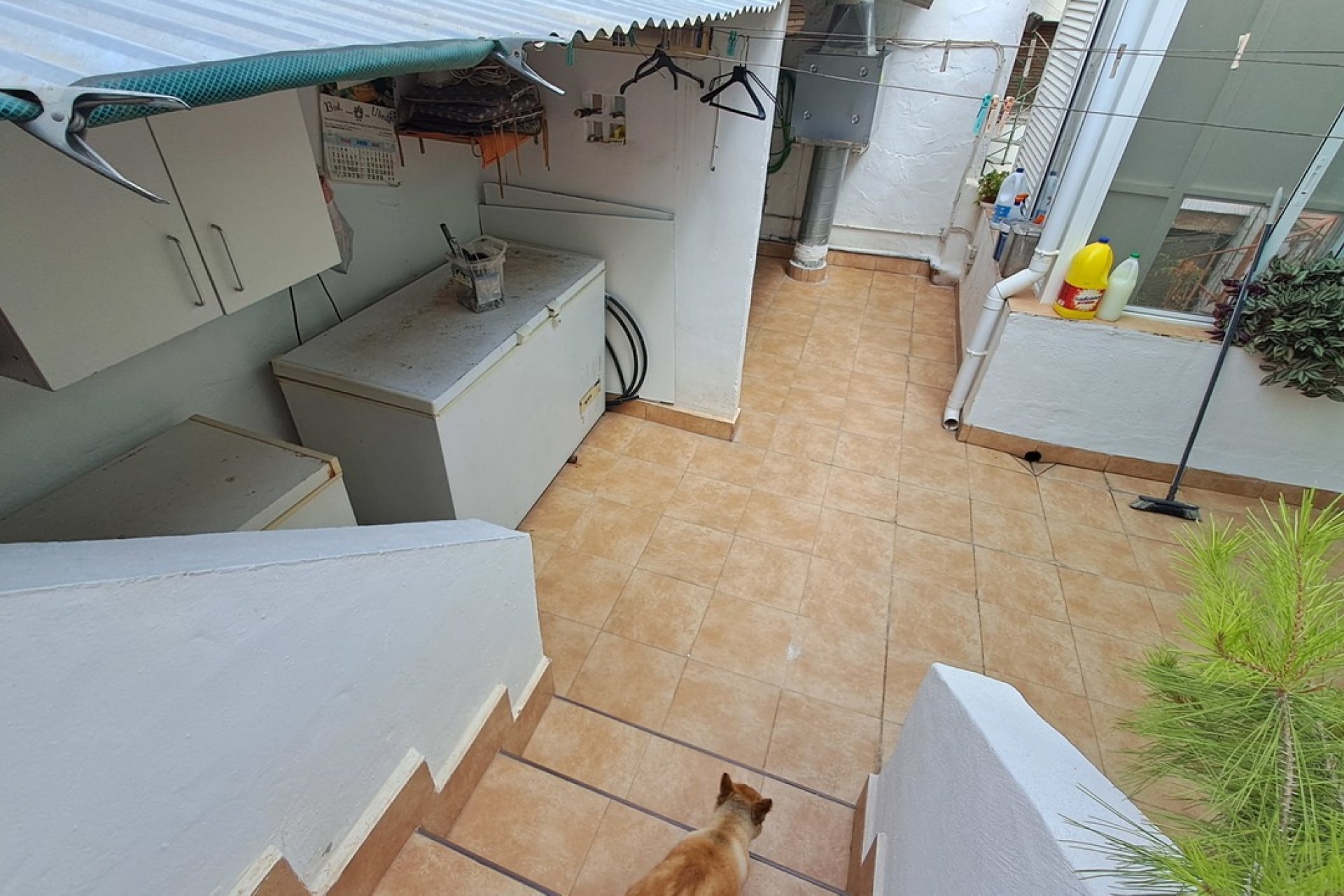 Charmante woning met bedrijf en bergzicht in Benijófar