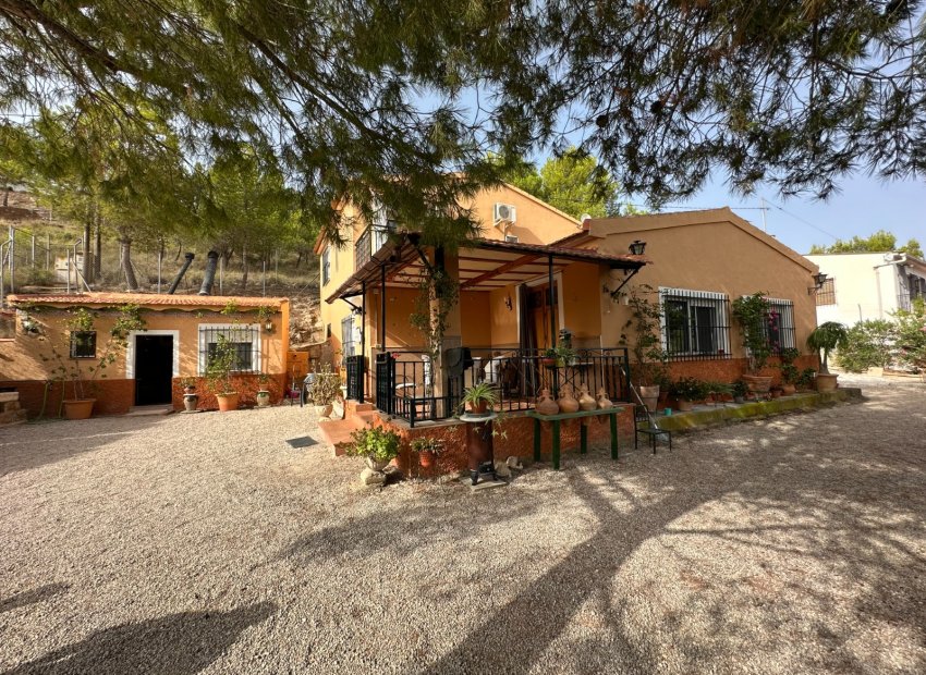 Charming finca with private pool, large garden and mountain views in Abarán, Spain