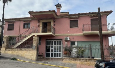 Commercial - Resale - San Miguel de Salinas -
                San Miguel de Salinas