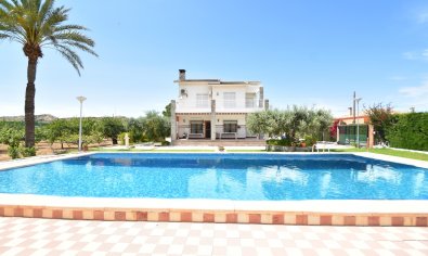 Country House - Resale - Elche -
                Sierra